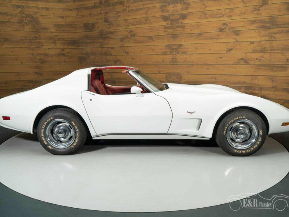 Image 13/19 of Chevrolet Corvette Stingray (1977)