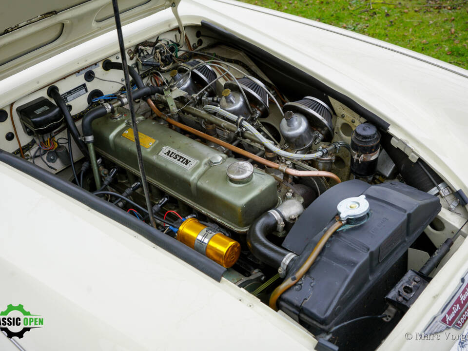 Immagine 16/50 di Austin-Healey 3000 Mk II (BT7) (1961)