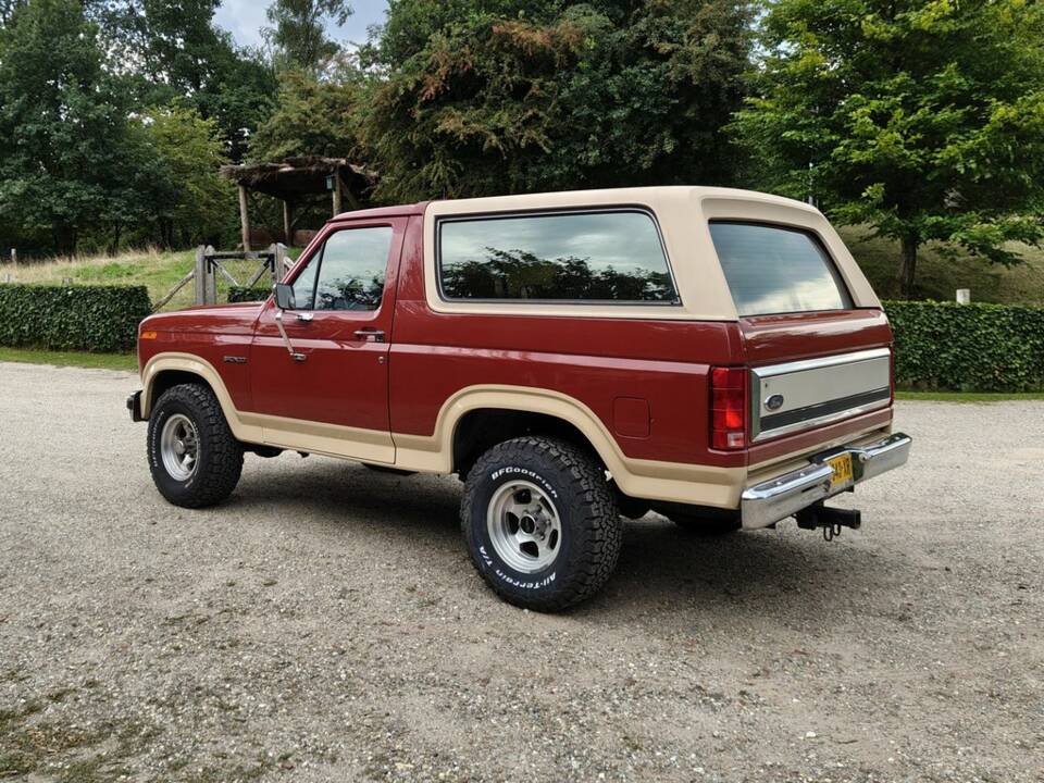 Image 7/8 de Ford Bronco (1985)