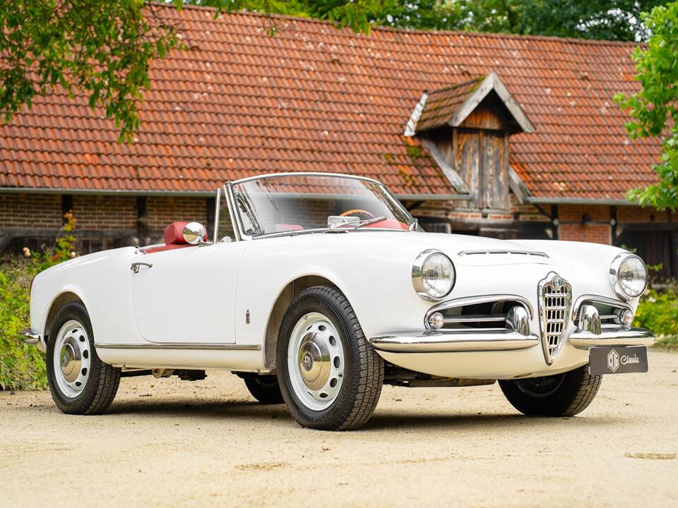 Imagen 10/42 de Alfa Romeo Giulia 1600 Spider (1964)