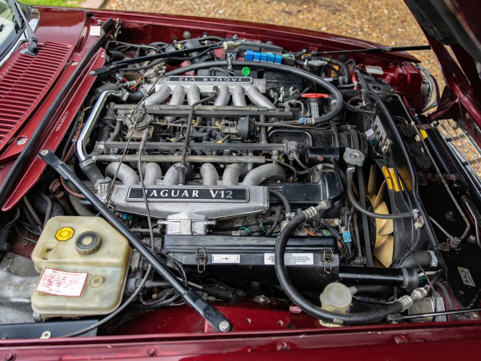Bild 40/41 von Jaguar XJS 5.3 V12 (1992)