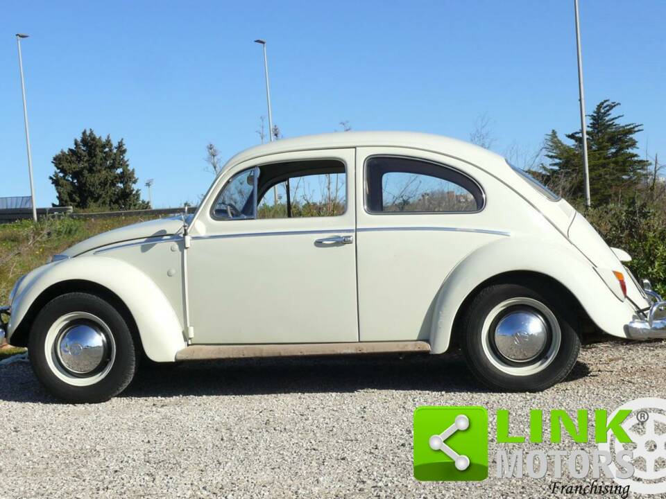 Bild 8/10 von Volkswagen Käfer 1200 (1962)