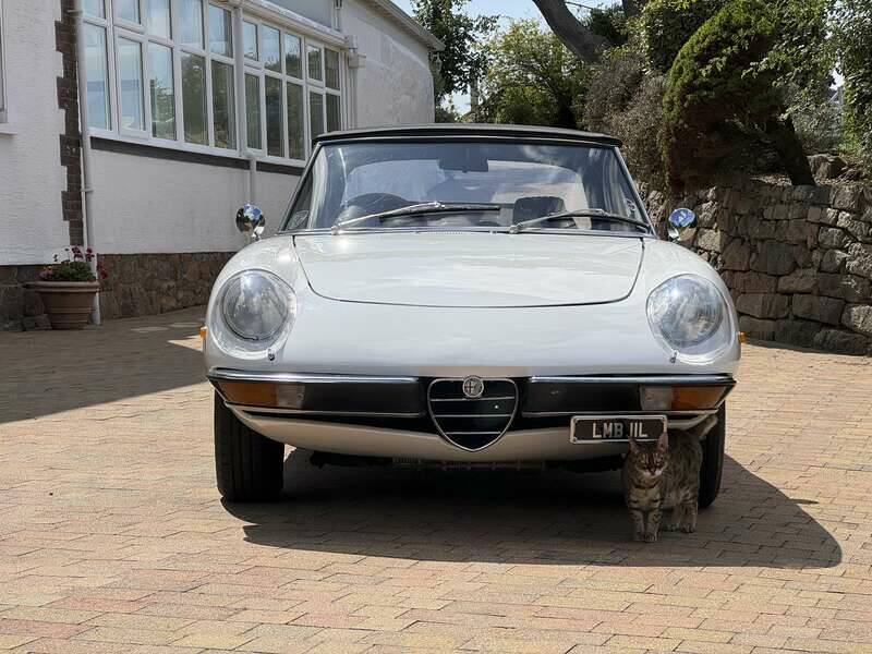 Image 25/50 of Alfa Romeo 2000 Spider Veloce (1972)