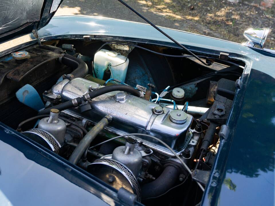 Bild 5/46 von Austin-Healey 100/4 (BN1) (1953)