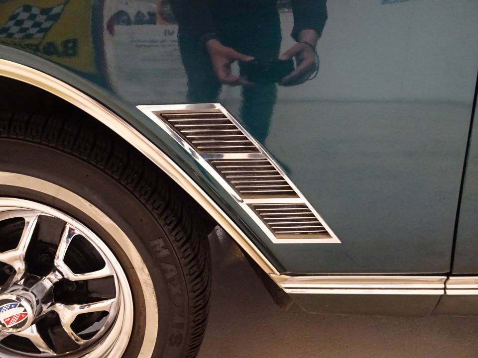 Bild 46/50 von Buick Skylark Convertible (1966)