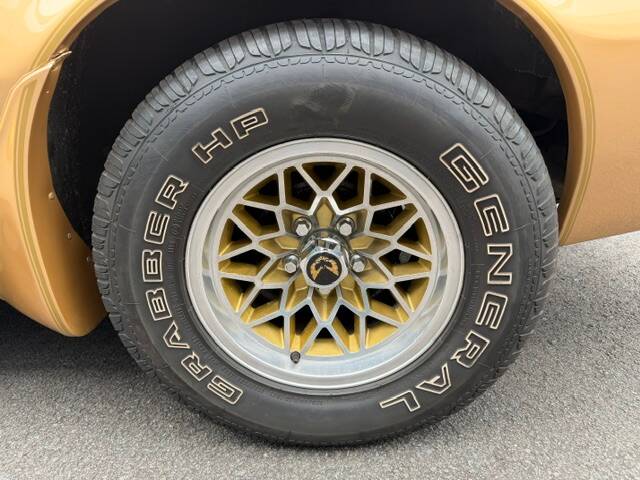 Image 21/21 of Pontiac Firebird TransAm (1979)