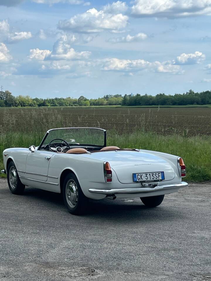 Afbeelding 6/9 van Alfa Romeo 2000 Spider Veloce (1962)