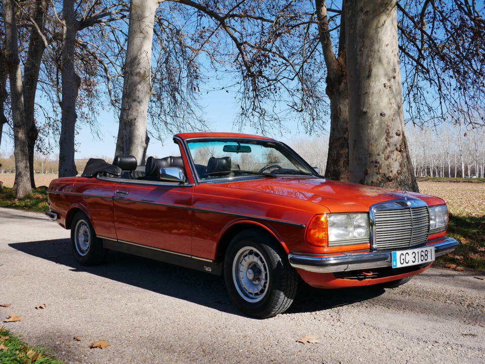 Image 3/29 de Mercedes-Benz 230 C (1977)