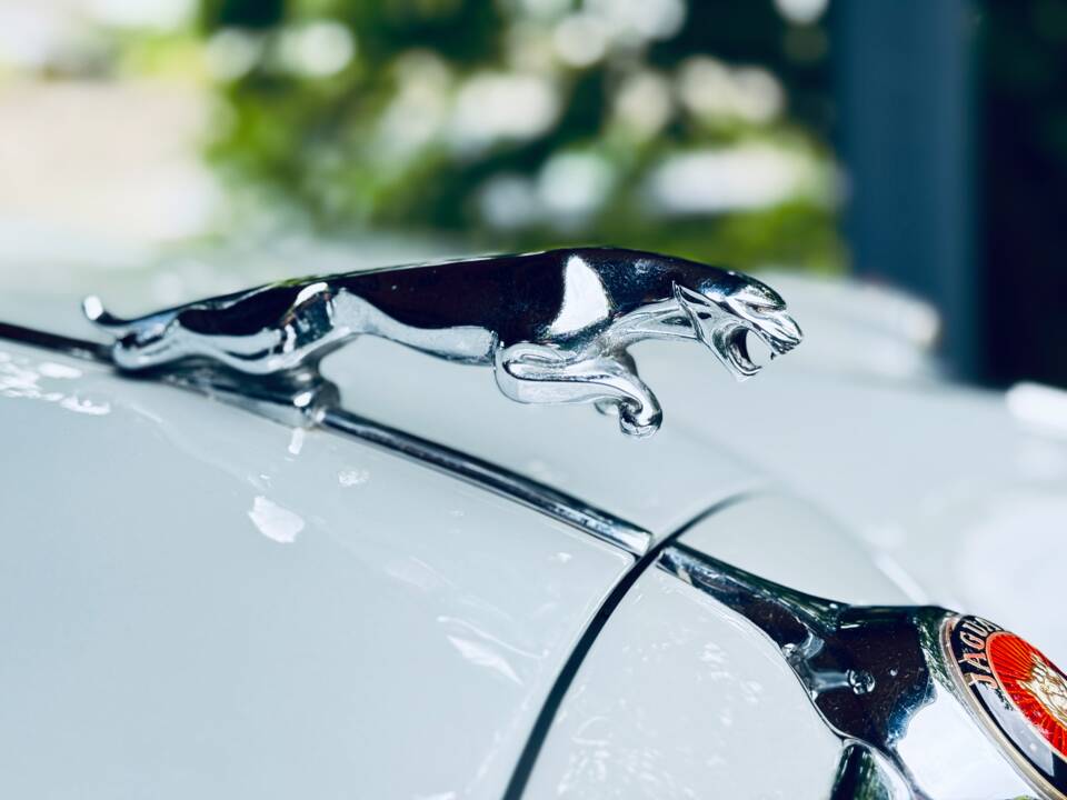 Bild 5/34 von Jaguar Mk II 2.4 (1961)