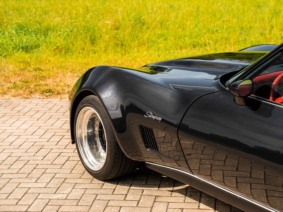 Immagine 9/42 di Chevrolet Corvette Sting Ray (1980)