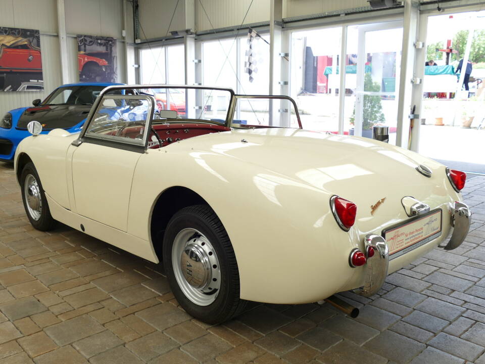 Image 4/21 of Austin-Healey Sprite Mk I (1959)