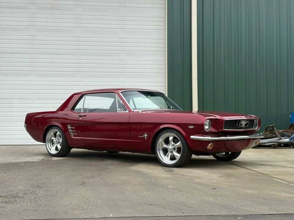 Bild 17/47 von Ford Shelby GT 350 (1966)