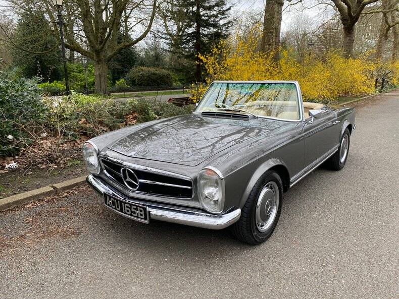 Afbeelding 6/50 van Mercedes-Benz 280 M-SL (1964)