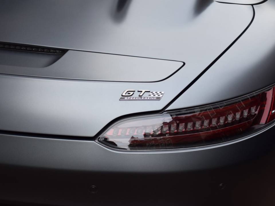 Image 10/38 of Mercedes-AMG GT-R Bussink Speedlegend (2019)