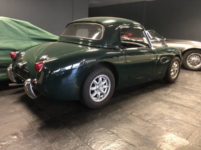 Immagine 8/32 di Austin-Healey Sprite Mk I (1959)