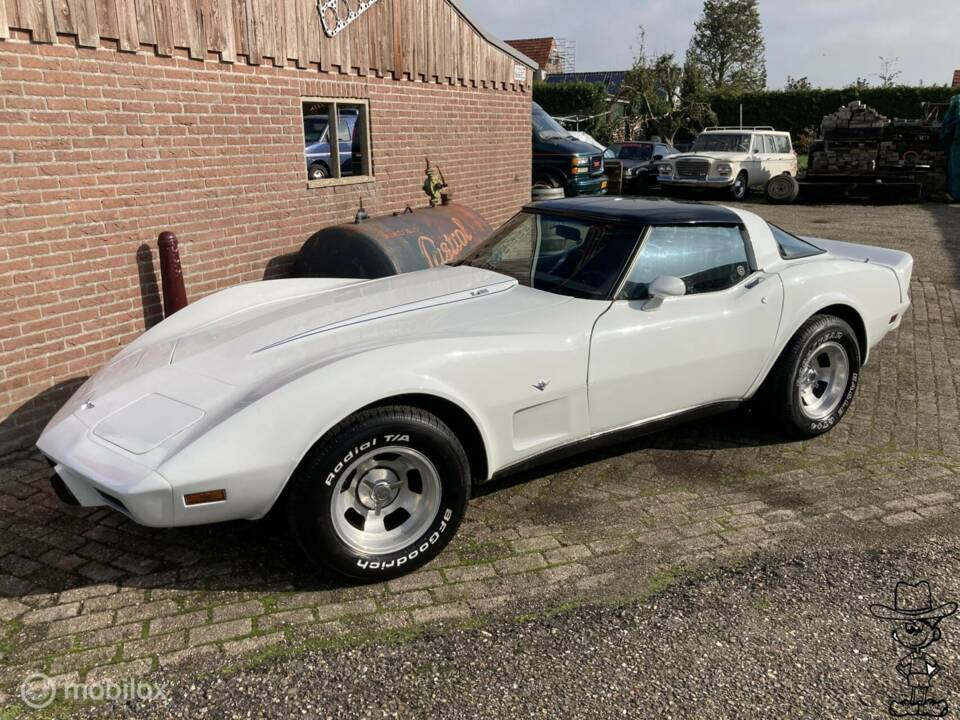 Afbeelding 18/50 van Chevrolet Corvette Sting Ray (1979)