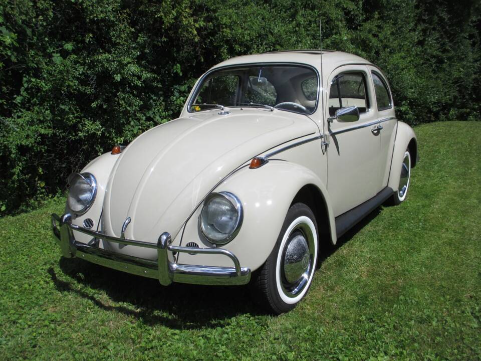 Image 1/39 of Volkswagen Maggiolino 1200 Export "Dickholmer" (1964)