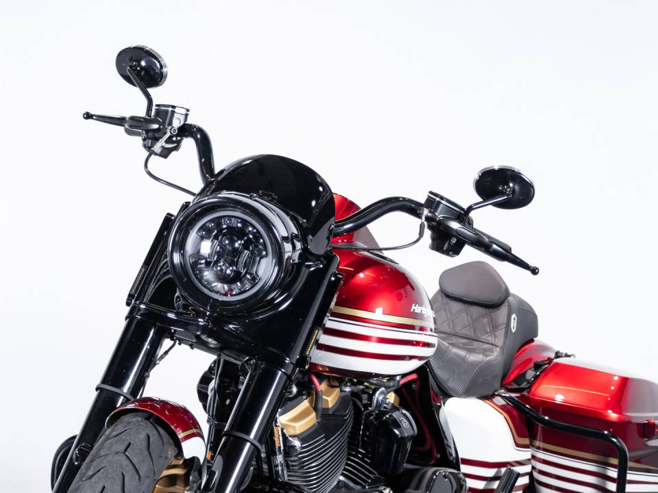 Image 17/50 of Harley-Davidson DUMMY (2019)