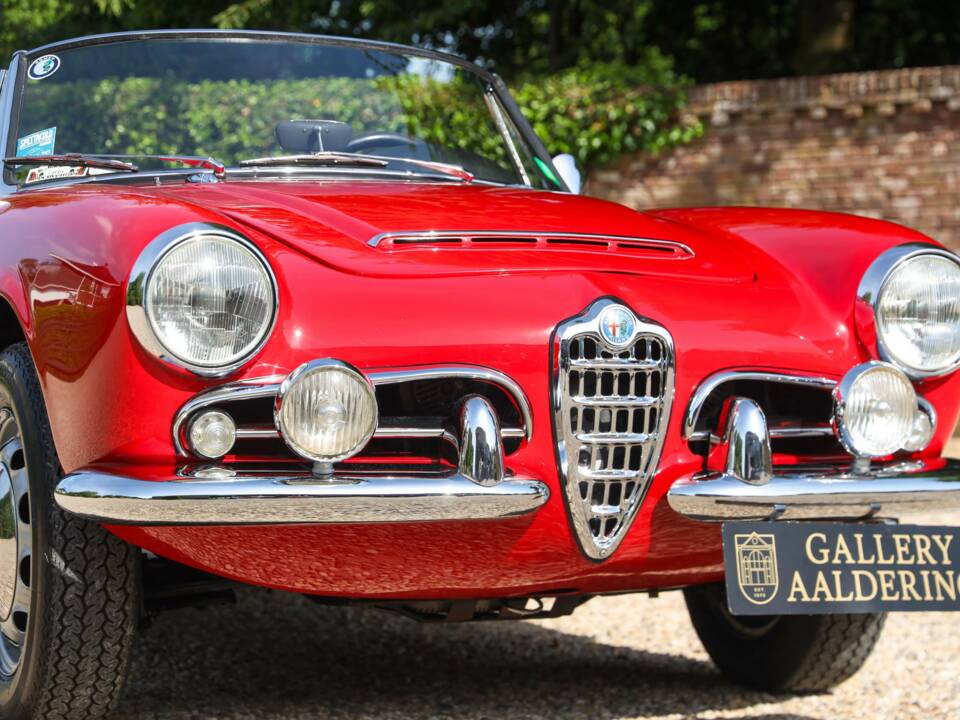 Bild 41/50 von Alfa Romeo Giulia 1600 Spider Veloce (1965)
