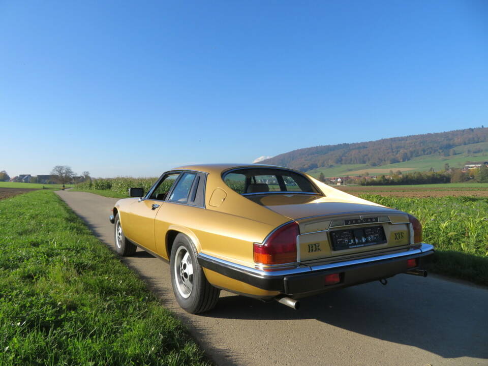 Afbeelding 2/17 van Jaguar XJ-S H.E. (1982)