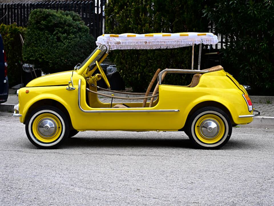 Image 7/45 of FIAT Ghia 500 Jolly (1971)