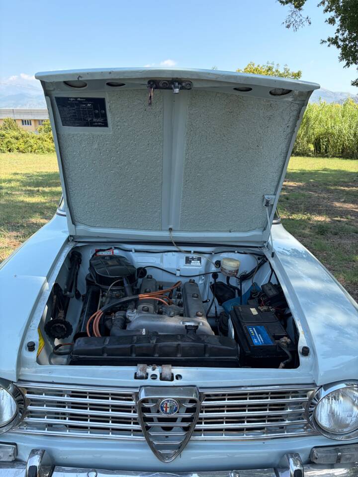 Image 29/30 of Alfa Romeo Giulia 1300 TI (1966)