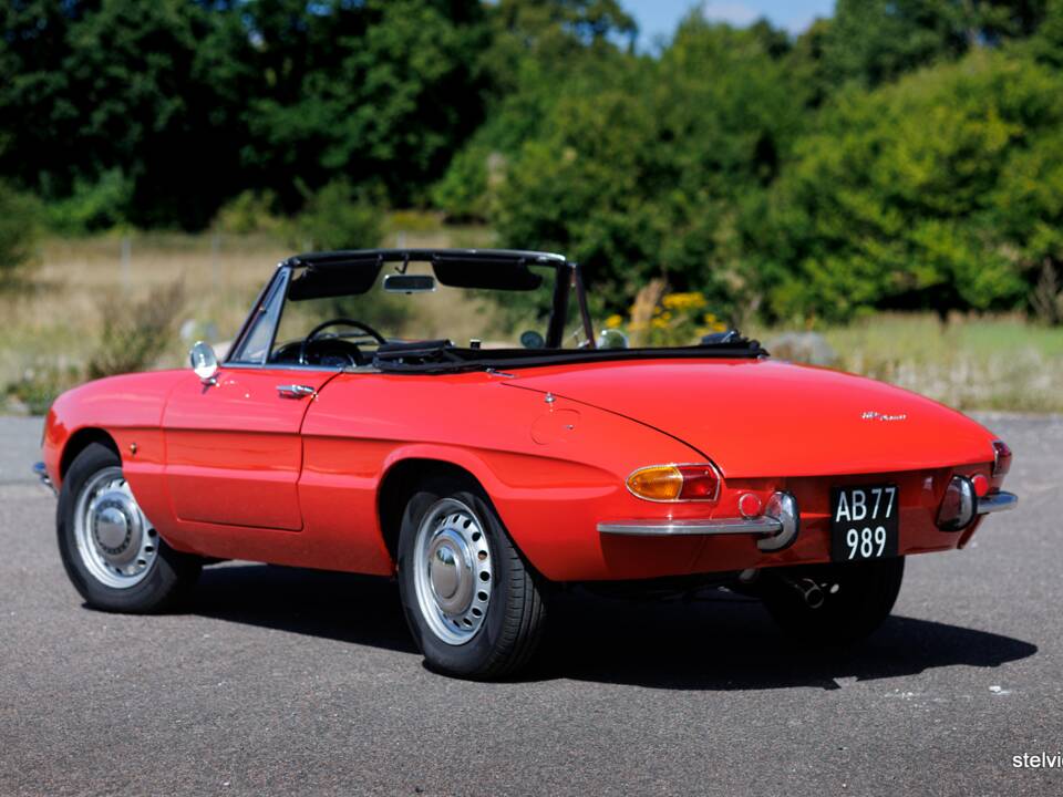 Afbeelding 8/37 van Alfa Romeo 1600 Spider Duetto (1966)