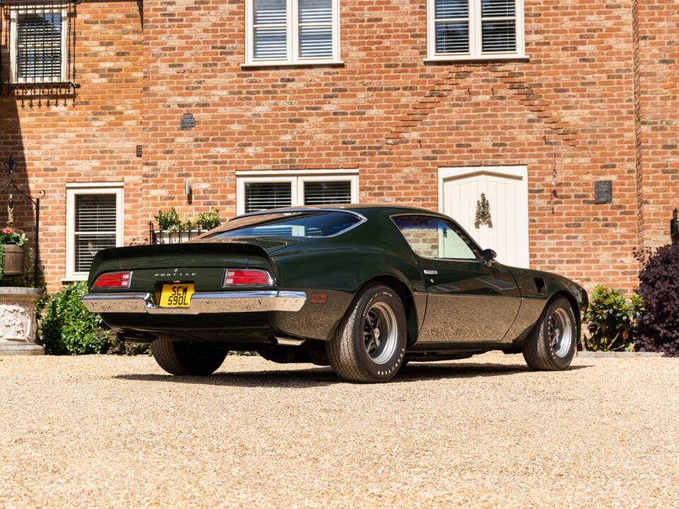 Immagine 18/49 di Pontiac Firebird TransAm (1973)