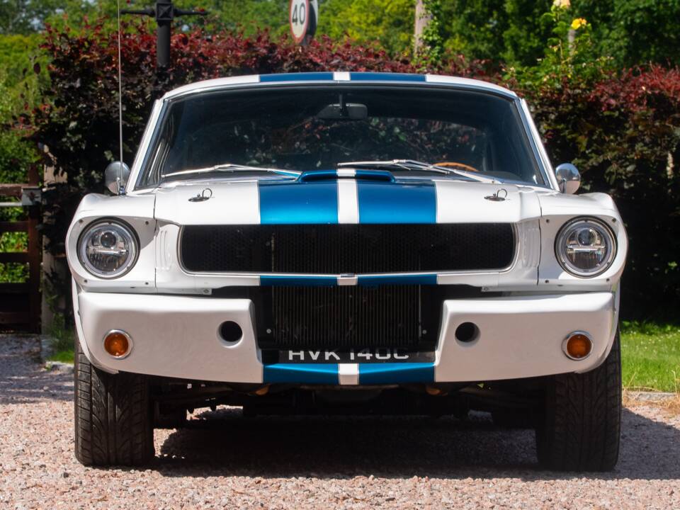 Bild 6/50 von Ford Shelby GT 350 (1965)