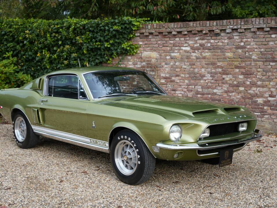 Afbeelding 16/50 van Ford Shelby GT 350 (1968)