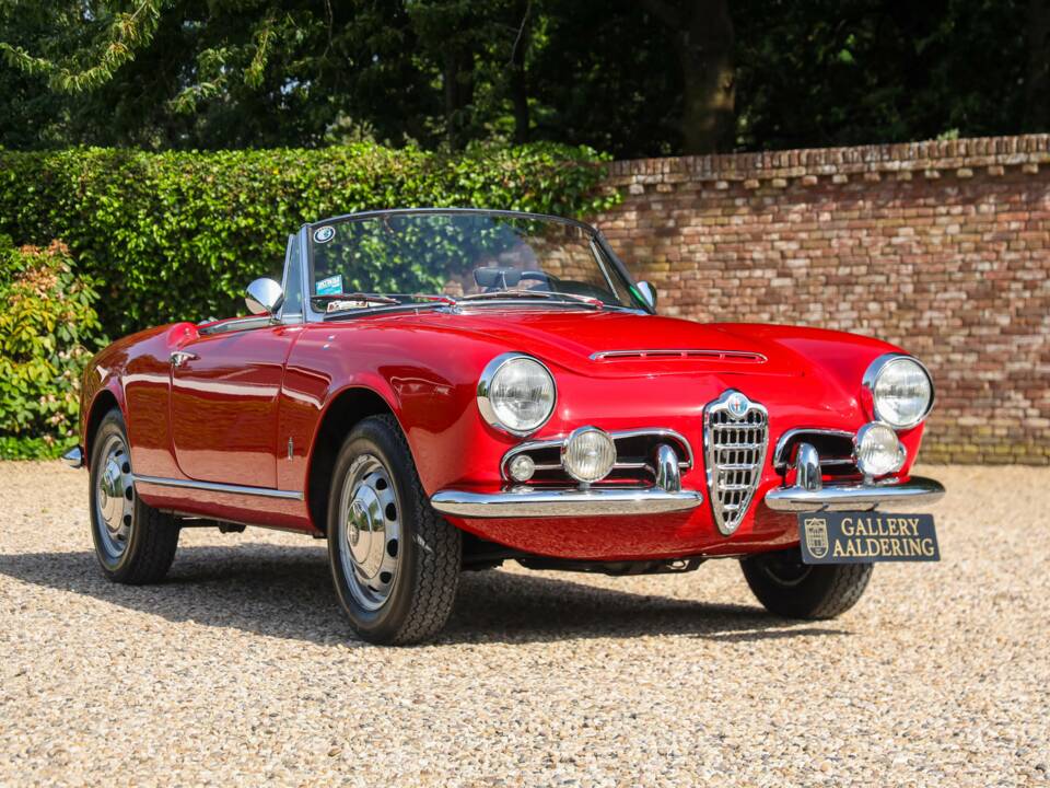 Bild 24/50 von Alfa Romeo Giulia 1600 Spider Veloce (1965)