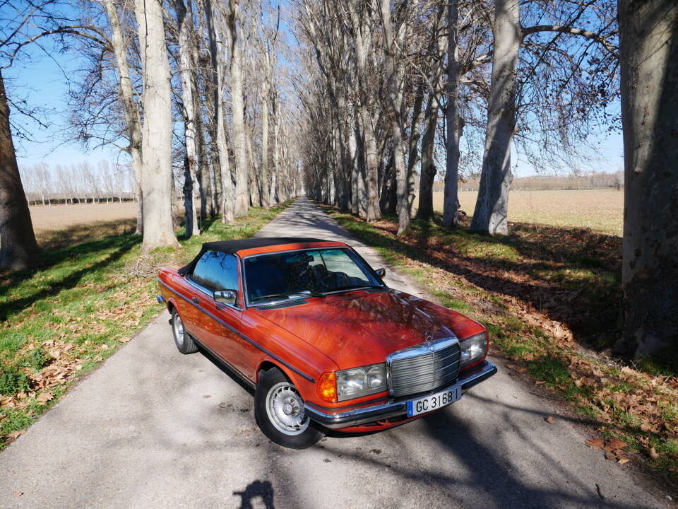 Image 25/29 de Mercedes-Benz 230 C (1977)