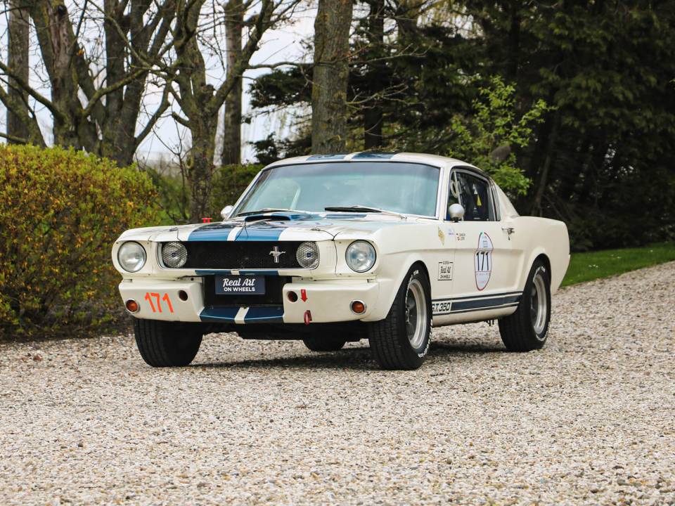 Image 3/31 of Ford Shelby GT 350 (1965)