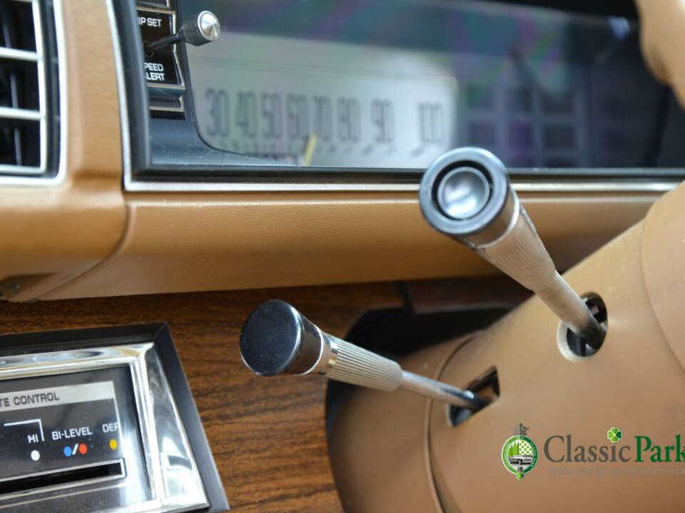 Immagine 39/50 di Buick Electra 225 Hardtop (1976)