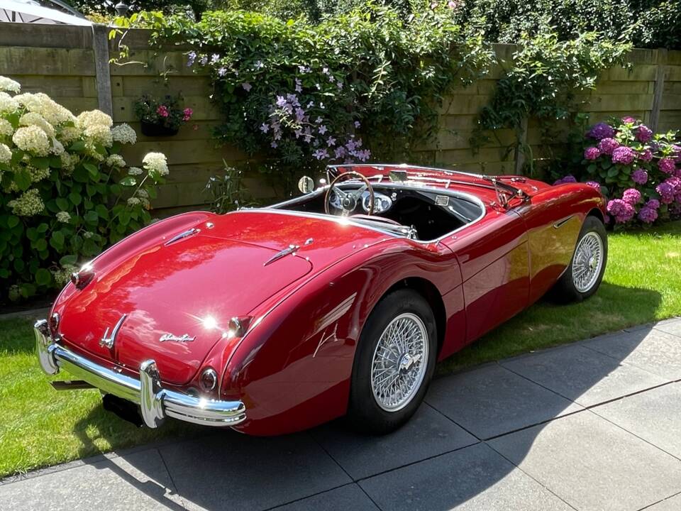 Bild 13/150 von Austin-Healey 100&#x2F;4M (BN2) (1955)