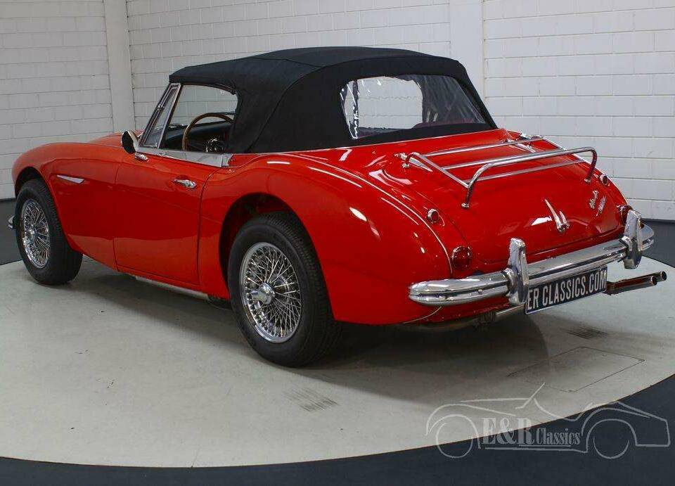 Immagine 7/19 di Austin-Healey 3000 Mk III (BJ8) (1966)