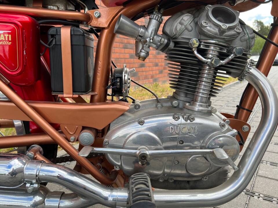 Bild 5/27 von Ducati DUMMY (1959)