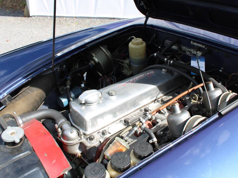 Image 45/50 of Austin-Healey 3000 Mk I (BN7) (1960)
