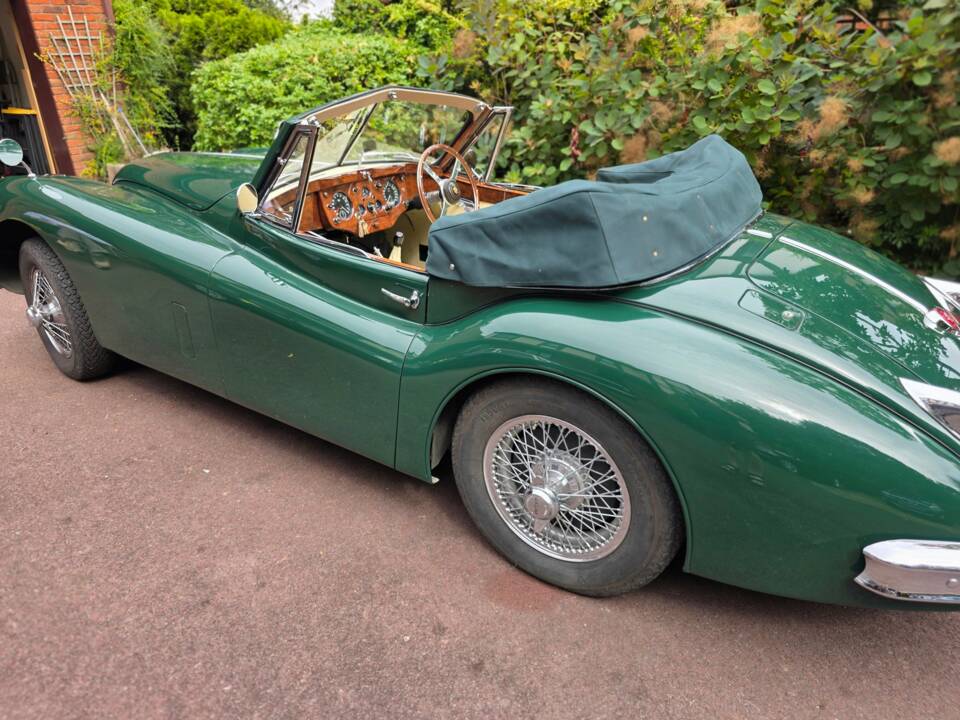 Bild 18/45 von Jaguar XK 140 DHC (1955)