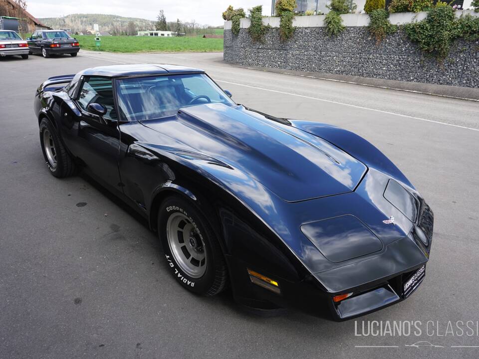 Bild 11/58 von Chevrolet Corvette Sting Ray (1979)