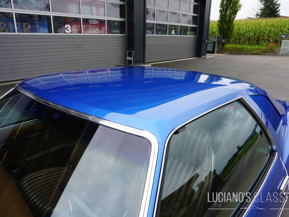 Afbeelding 19/58 van Pontiac GTO (1973)