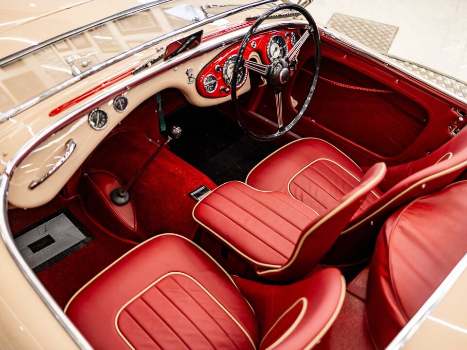 Immagine 49/50 di Austin-Healey 100/4 (BN1) (1954)