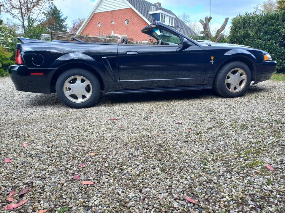 Afbeelding 7/8 van Ford Mustang GT (2000)