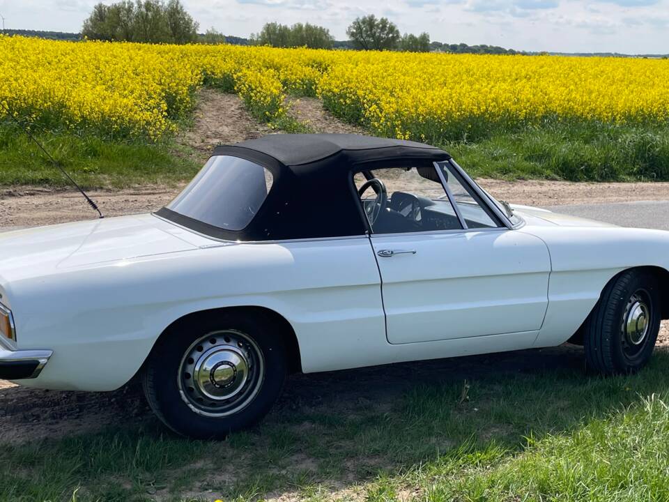 Bild 12/29 von Alfa Romeo Spider 1300 Junior (1971)