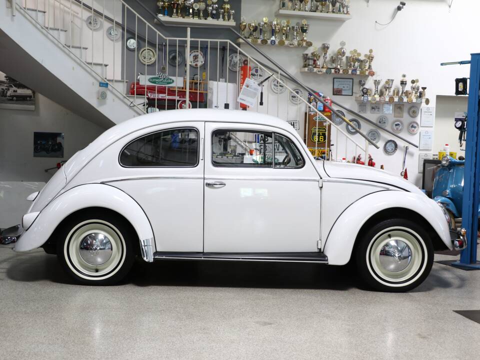 Image 31/44 of Volkswagen Beetle 1200 Export "Oval" (1956)