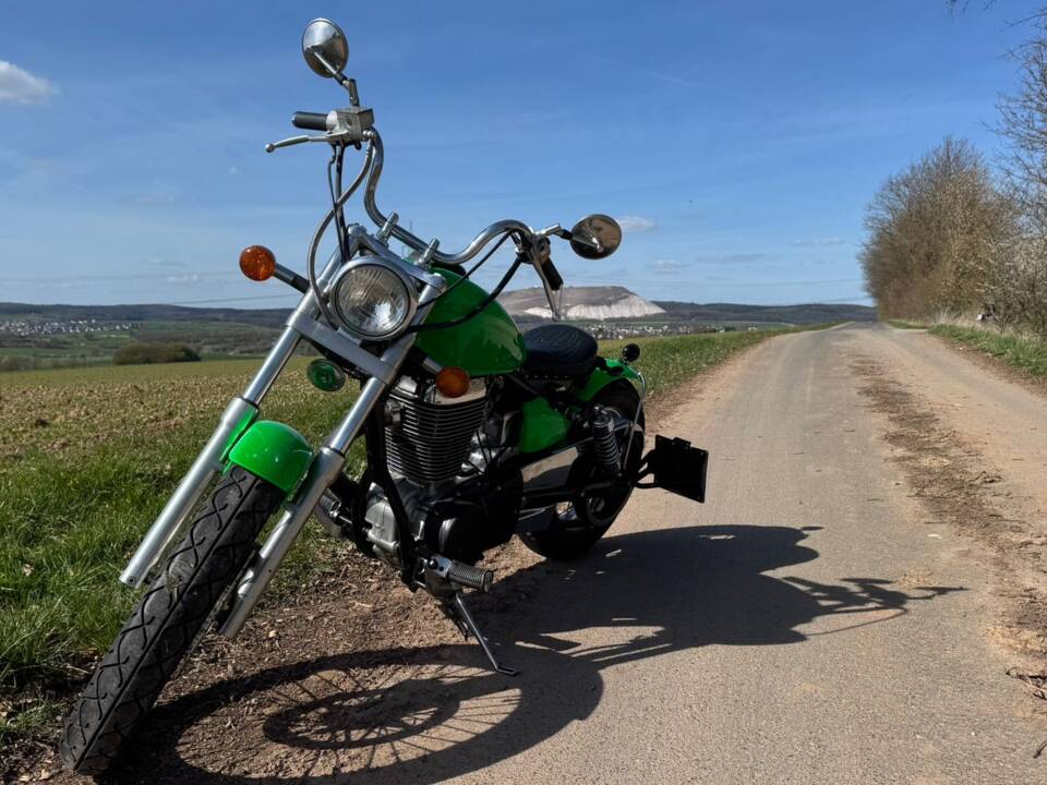 Immagine 10/13 di Suzuki LS 650 Savage (1998)