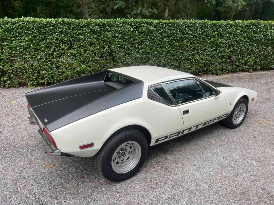 Afbeelding 6/21 van De Tomaso Pantera (1972)