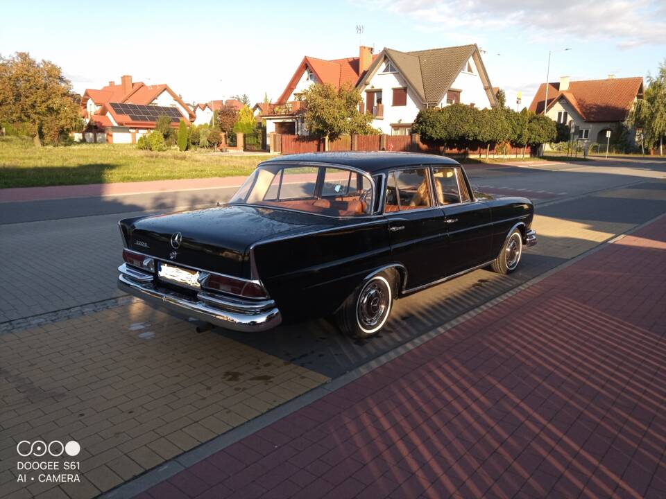 Bild 2/6 von Mercedes-Benz 220 S b (1965)