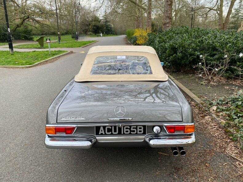 Afbeelding 39/50 van Mercedes-Benz 280 M-SL (1964)