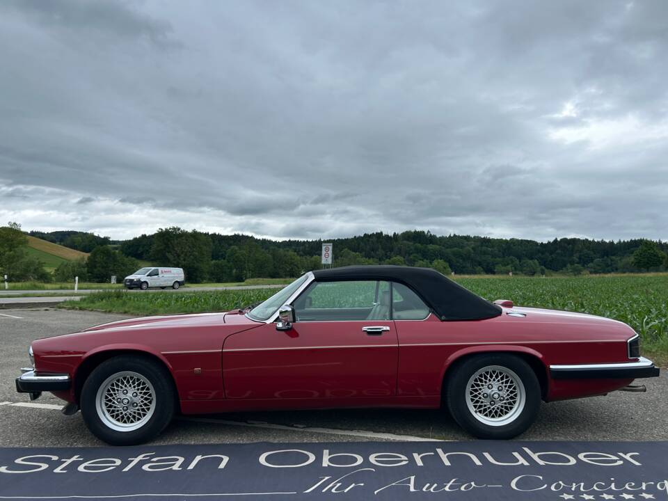 Image 26/40 of Jaguar XJS 5.3 V12 (1991)